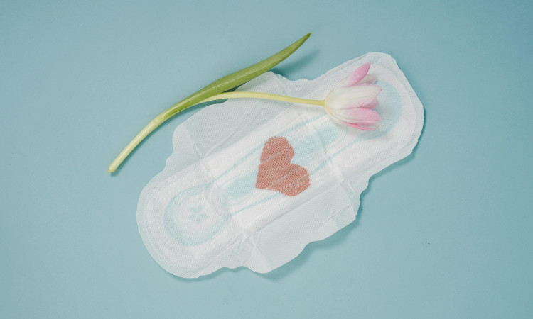 Penso branco com coração rosa feito de renda recortado em cima e uma tulipa rosa com a flor em cima numa representação da dignidade menstrual.