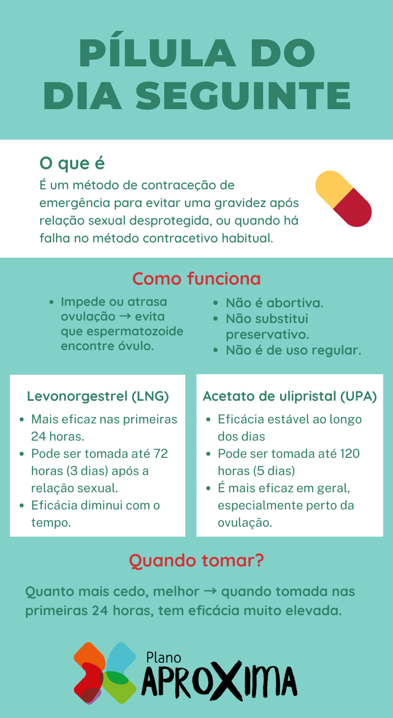 Infográfico sobre a pilula do dia seguinte: o que é, como funciona, tipos e quando tomar.