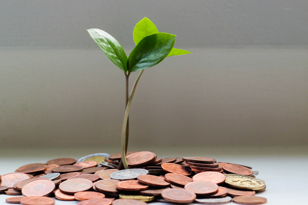 Planta com v&aacute;rias moedas &aacute; volta representando as finan&ccedil;as