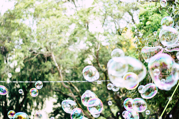 bolhas de sab&atilde;o na floresta