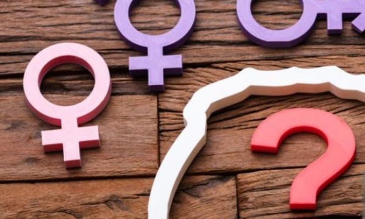 sexo e g&eacute;nero