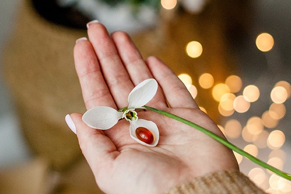 imagem de uma m&atilde;o a segurar uma flor com uma semente dentro representando os cuidados pr&eacute;-natais