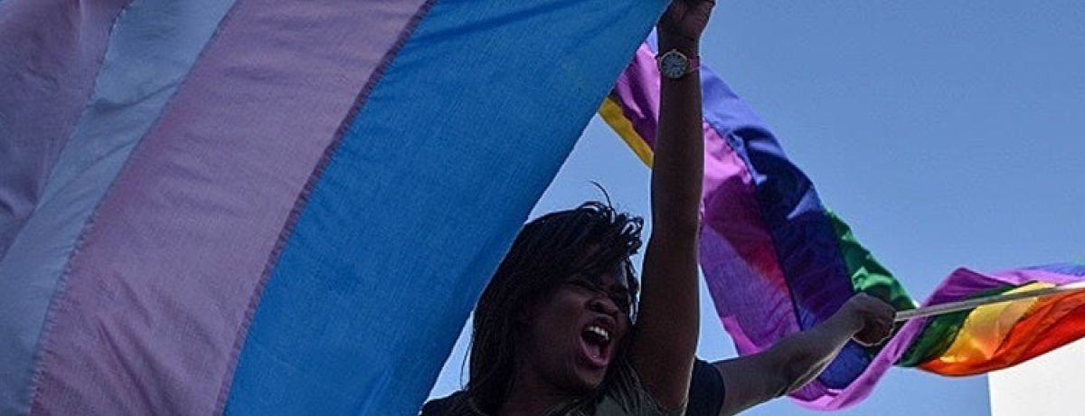 mulher segura em bandeira transexual e atrás surge bandeira LGBTQIAPN+