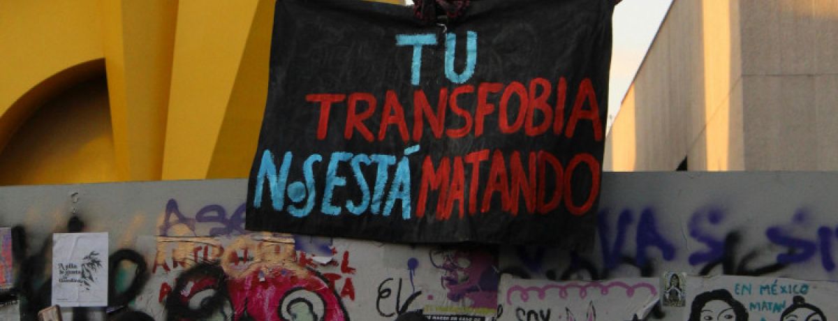 Pessoas com cartazes a olharem para outra que está num muro a segurar pano preto com inscrição colorida contra a transfobia.