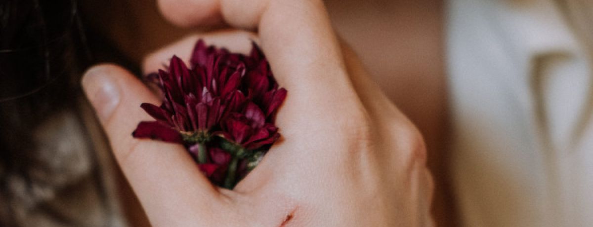 Mão de mulher a segurar flor num vermelho escuro com um arranhão em evidência a sinalizar um dos vários tipos de violência que existem.