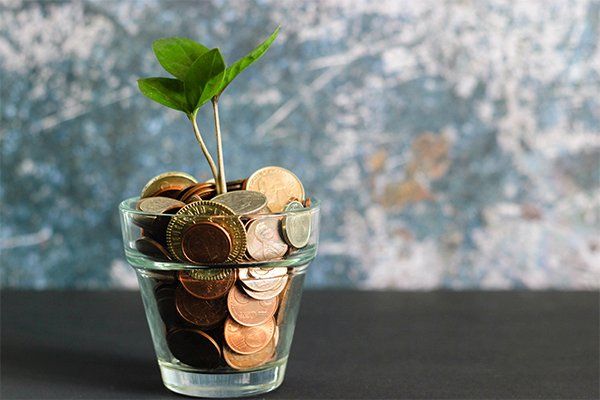 Pote com planta que tem muitas moedas dentro representando as finanças